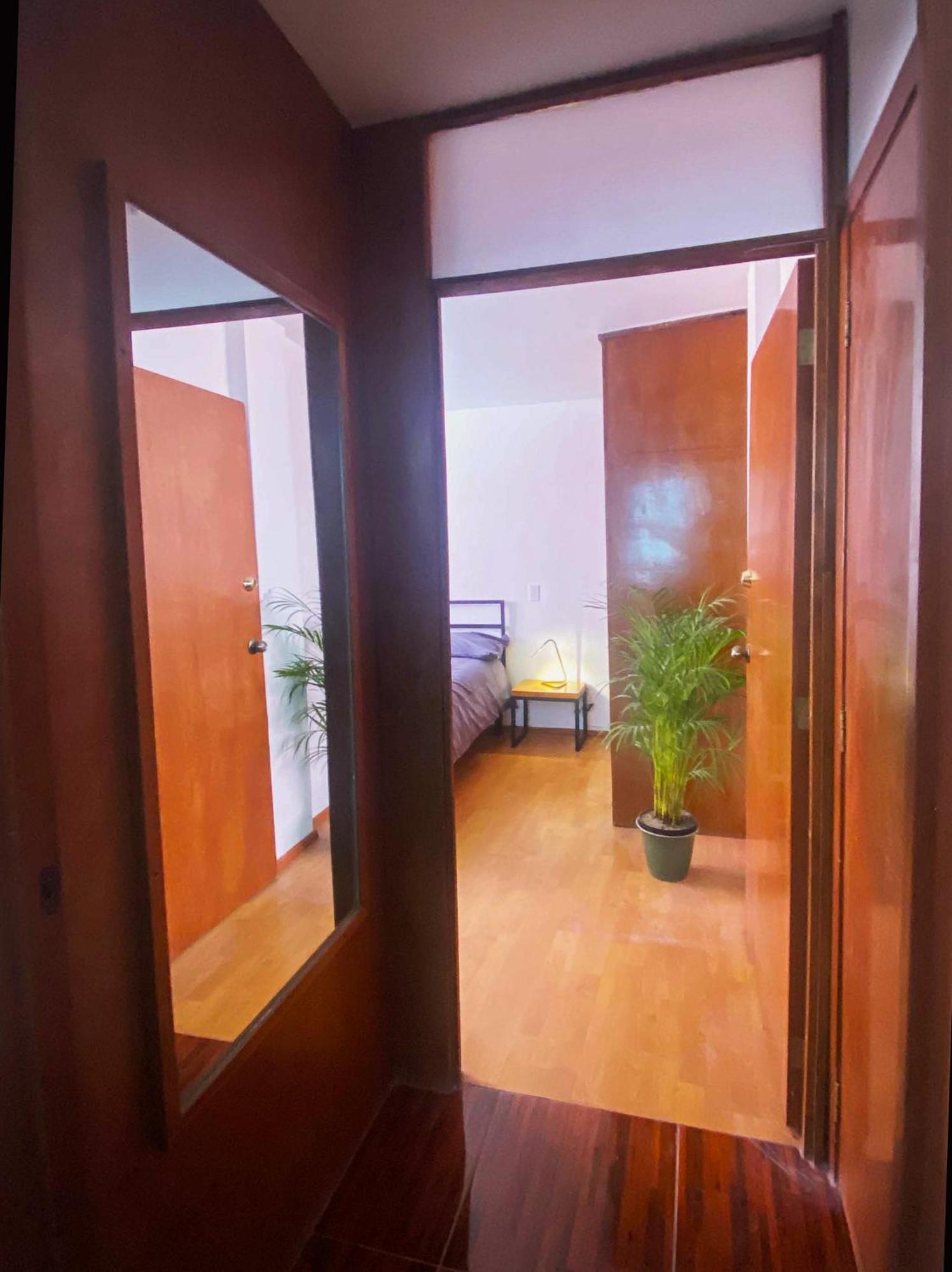 Central & Cozy Studio With Rooftop View 1 Мехико Экстерьер фото